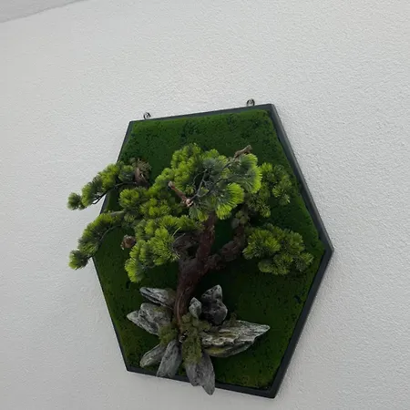 Casa Del 3 * Sankt Aldegund